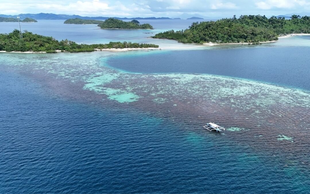 Unlocking Paradise: A Guide to Investing in Real Estate in Palawan